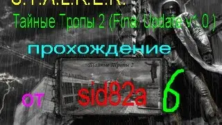 видео гид stalker Тайные тропы-2 пункт # 6 (нежить, 3 кейса и 2 книги Мэрвина)