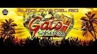 Vida | Cumbia Peruana | ( Limpia ) - Exito Sonido Sonoramico