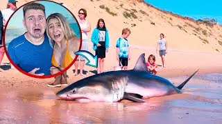 ENCONTRAMOS UM TUBARÃO ENCALHADO NA PRAIA!! *ELE QUASE NÓS ATACOU*
