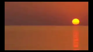 Pot Kettle Black - 'D&eacute;j&agrave; Vu' OFFICIAL VIDEO