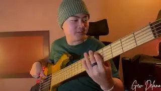 Mighty To Save - Is Houghton & New Breed (Bass Cover)