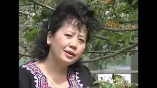 N tshaaj tuam hu nkauj: xyoo tshab tawm tuaj