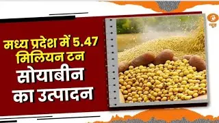 Bharat @ 7 pm: MP occupies the top position with soybean production of 5.47 million tonnes.
