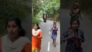 On Camera 🐘 Elephant Attacks Woman on Road! 😱 High-Tension Survival Moment #shorts