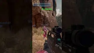 The Halo Experience