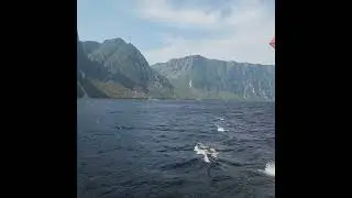 Older than the Rockies! Gros Morne #newfoundland #mountains #geology #adventure #boat
