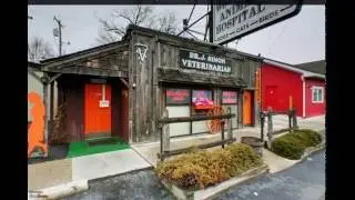 Woodside, Holistic & Traditional Pet Care | Royal Oak, MI | Pet Care