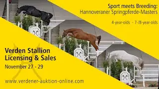Verden Stallion Licensing & Sales on November 27 - 29