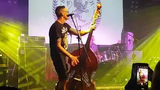 Stokes CPH, Rebellion 2019
