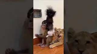 देख लिया लापवाही का नतीजा,🧐 #shortvideo #viralvideo #funnyvideo