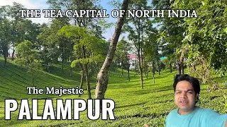 EP 4 | PALAMPUR : THE TEA CAPITAL OF NORTH INDIA | BREATHTAKING BEAUTY | CLEANEST HIMACHAL TOWN