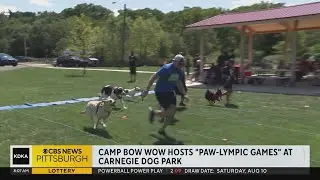 Camp Bow Wow hosts 