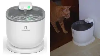 KungFuPet Wireless Pet Water Fountain with Motion Sensor Review