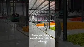 China latex balloon manufacturer- Haorun balloons factory