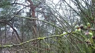 Refugi del esquirol, naturaleza en maximo esplendor.             #naturaleza #escapadaperfecta