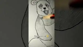Drawing panda from jujutsu kaisen