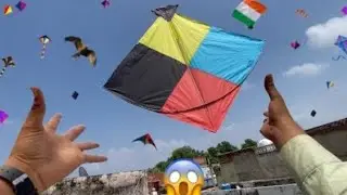 Cought Kite 🪁 ll Kite Catching ll Kite Fighting ll #kite 