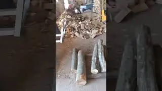 عملية تحضير حطب الوقود المجفف في الأفران للتصدير.    kiln drying firewood logs producing process