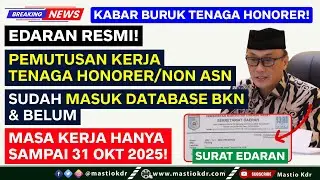 Surat Resmi! Batas Akhir 31 Okt 2025!Pemutusan Kerja Tenaga Honorer Sudah MASUK DATABASE BKN & BELUM