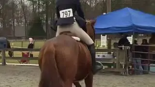 The Definition of a Heart Horse