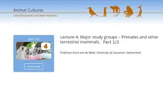 Animal Cultures : Lecture 04 Part A : Observations of culture in the wild