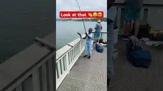 How to use your fishing rod #fishing #building #recreation