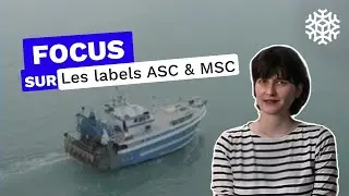 Devenez incollable sur les labels MSC et ASC !