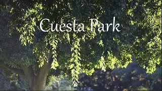 890 - Cuest Park @ Mountain View