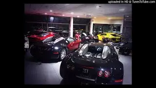 6 dogs - Beautiful Whips