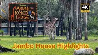 Highlights from Disney&rsquo;s Animal Kingdom Lodge Jambo House | 4K
