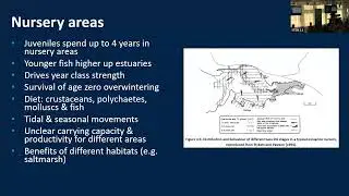 All About the Bass 2024 - Kieran Hyder (Cefas)