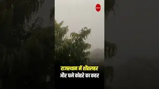 राजस्थान में शीतलहर और घने कोहरे का कहर | Rajasthan Patrika