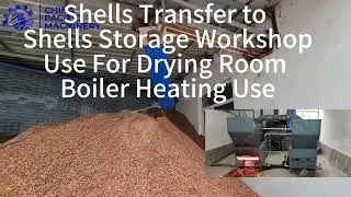 Pine Nut Processing Machine/Pine Nut Shelling Machine/Pine Nuts Machine |Pine Nut Cracker