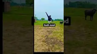 Sushil bind video edi🌅🌄🏞🏝🌎