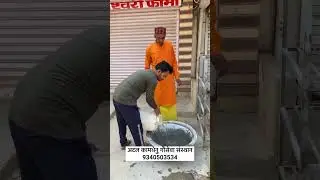 #water #bowls #cows #strays #shortsvideo #video #viralshorts #atalkaamdhenugausewasansthan