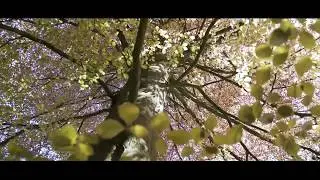 Loenen Dalenk 21A | Redres