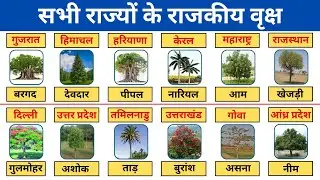 सभी राज्यों के राजकीय वृक्ष | 28 rajyo ke rajkiya vriksha | State trees of all the states of India