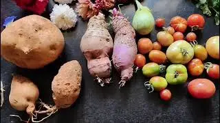 Today's harvest from my terrace garden 🏡🙏😊