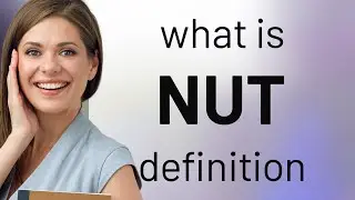 Nut | what is NUT definition