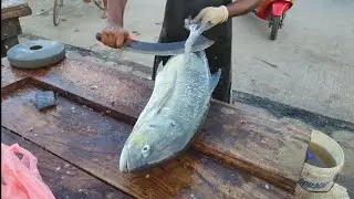 Spangled Emperor Fish cutting skills| Fresh Fish cutting skills