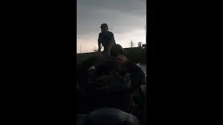Two Fishermen And Dog Get Caught In Tornado