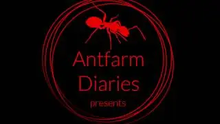 Feeding ants after a winter sleep and discussing flaws of the arena