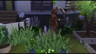 Percilot Couple dance - Salsa Test - The Jungle dancing