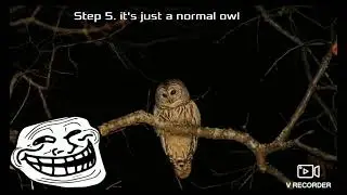 mothman incident (by shoomify)