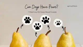 Three Risks of Feeding Pears to Dogs #doghealth #petsafety #dognutrition #healthypets #pets #dogs