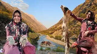 🐺🦅Kolthum's shocking day with wolf and vulture attack: 🐝🍯 Wild honey hunting on a breathtaking day