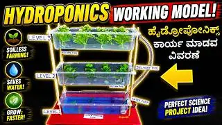 hydroponics working model explanation in kannada  - vertical farming - science project | DIY pandit