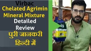 Virbac chelated agrimin mineral mixture review | Mineral mixture for cow buffalo | Saher Milky Land