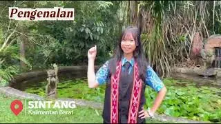 Kearifan lokal tentang Rumah Betang Kobus Sintang,Kalimantan Barat (Kelas IX.D Kelompok 2)