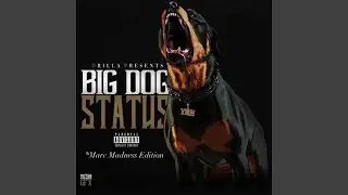 bankroll flow (feat. Matt Money)